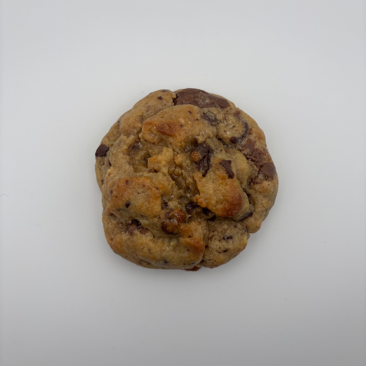 A single peanut butter chocolate chip cookie photographed from above on a plain light background.