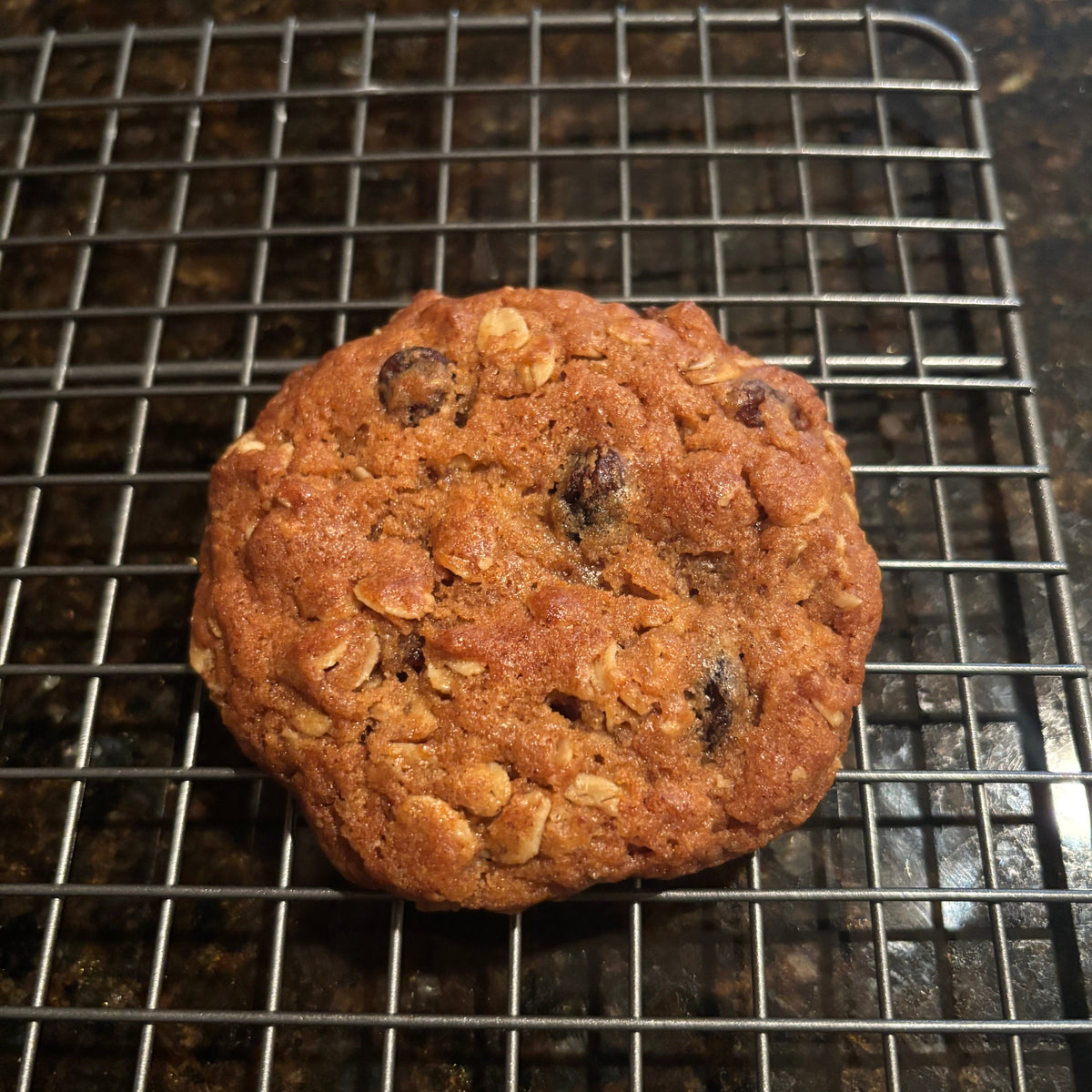 Golden Brown Butter Oatmeal Raisin Cookie with oats and raisins, on a wire cooling rack