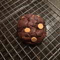 Dark chocolate Brown Butter Double Chocolate Peanut Butter Cookie topped with peanut butter chips, on a wire cooling rack